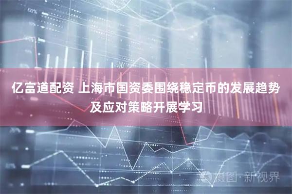 亿富道配资 上海市国资委围绕稳定币的发展趋势及应对策略开展学习